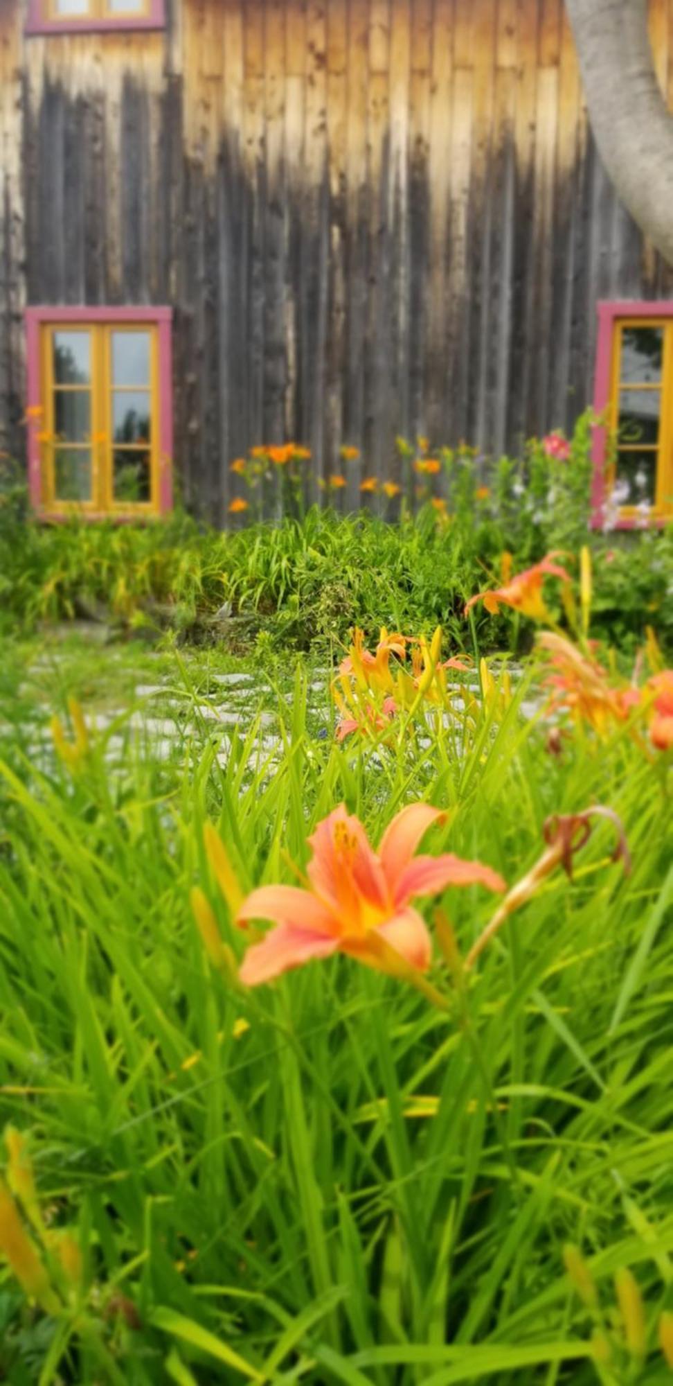 Auberge Le P'Tit Bonheur Saint-Laurent-de-l'ile d'Orleans Dış mekan fotoğraf